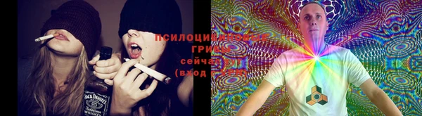 ешки Волосово