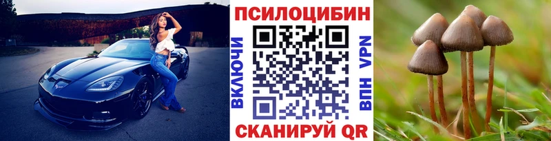 Псилоцибиновые грибы Psilocybine cubensis  Купить закладки  Бахчисарай 